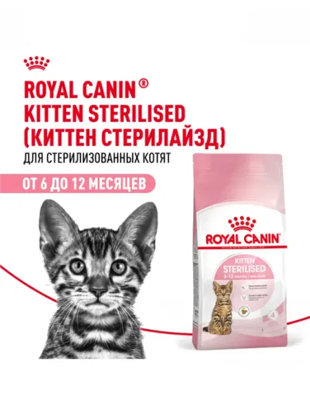 Royal Canin kitten Sterilised для котят 3.5 кг