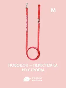 Поводок регулируемый для собак средних и крупных пород, перестежка из стропы IN GOOD COMPANY В ХОРОШЕЙ КОМПАНИИ (М / 3м /Настоящий красный)