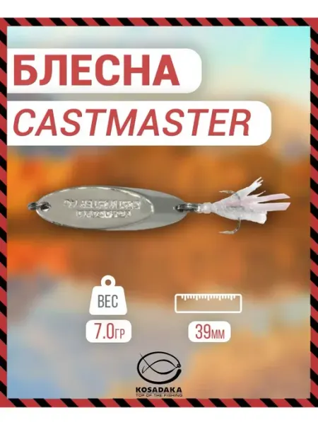 Kosadaka Блесна CASTMASTER "Kosadaka" 7г CAST-07-SIL