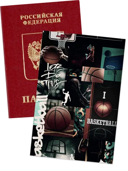 МобиФон Обложка на паспорт basket ball