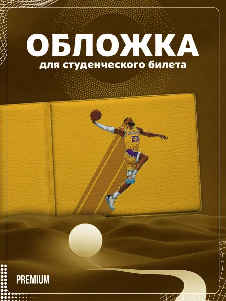 Store ST Обложка на студенческий "Баскетбол"