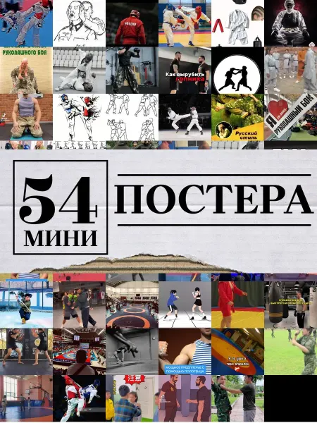 1-й Стикер Минипостеры 36 шт рукопашный бой