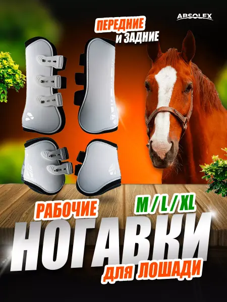 Absolex Ногавки лошади амуниция для лошадей для конного спорта