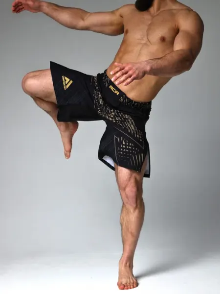 IAMFIGHTER Шорты мма АСА спортивные для единоборств ACA