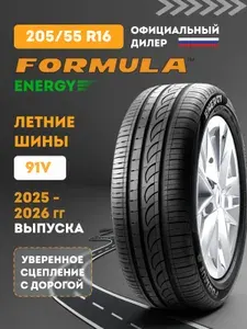 FORMULA Шины летние 205 55 R16 91V Energy