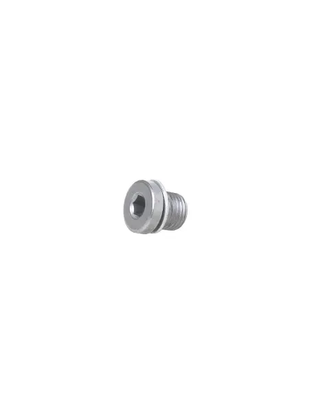 VAG (VW/Audi/Skoda/Seat) Болт слива масла АКПП AD VW SKODA VAG N 904 142 03