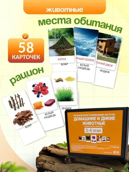 Места обитания животных. Кто что ест? 3-4 этап
