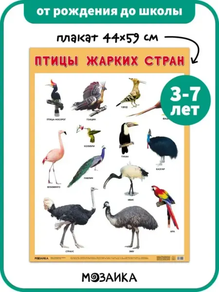 ОТ РОЖДЕНИЯ ДО ШКОЛЫ Развивающий плакат на стену для детей, птицы жарких стран 3+