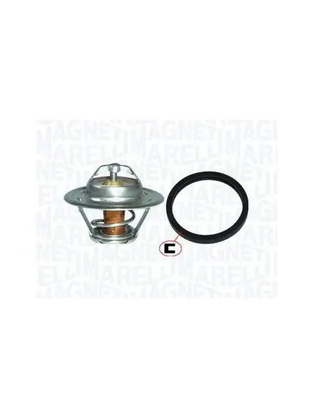 MAGNETI MARELLI Ролик натяжителя клиновой ремень для автомобиля