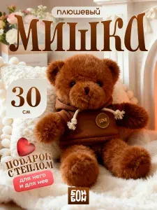 Мишка плюшевый в пайте 30 см, шоколадный / Медведь плюшевый подарок для девочки / Мишка в худи