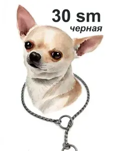 Ошейник цепочка кобра для собак тонкая черная 30см