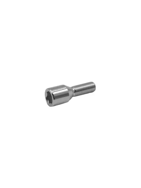 GANZ Болт колесный 12x1.50x30 ВНШГ комплект из 20 штук