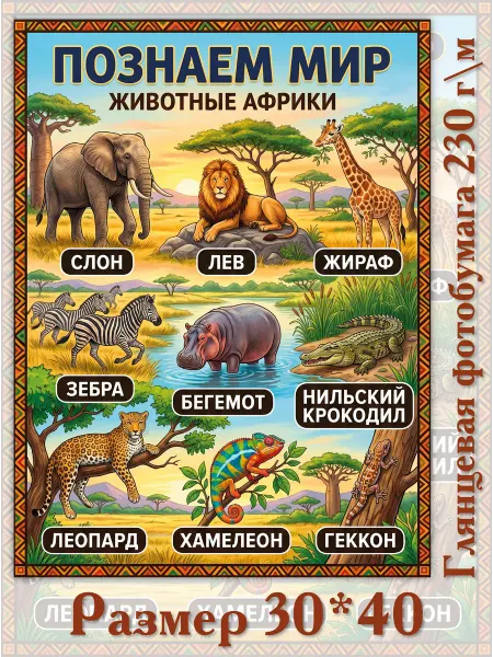 Постер 30*40 Познаем мир Животные Африки