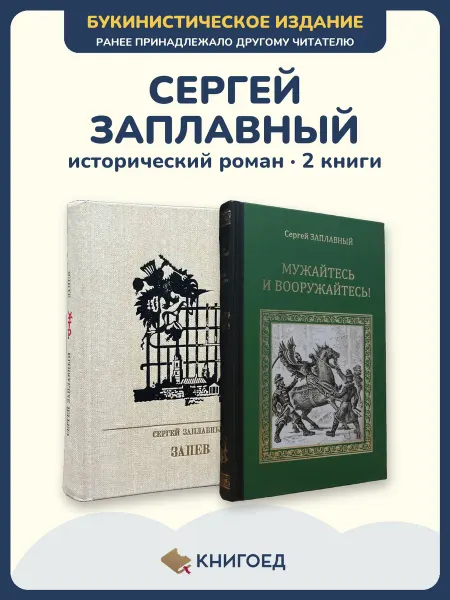 Книгоед Заплавный исторический роман Русь 1612 год Гермоген 2 книги