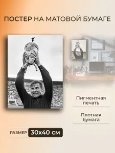 Постер на стену для интерьера, картина интерьерная Лев Яшин / 30 x 40 см