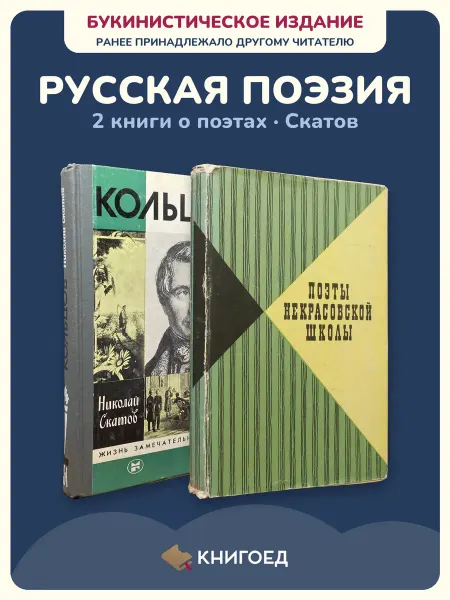 Книгоед Некрасов Кольцов поэзия русская школа 2 книги