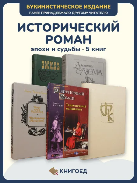 Книгоед Исторические романы Золя Дюма Хаггард Капандю Купер 5 книг