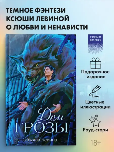 Издательство CLEVER Ксюша Левина. Дом грозы. Подарочное издание