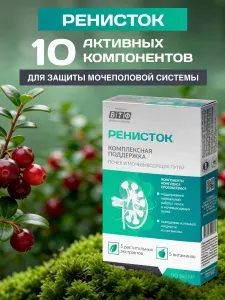 Растительный комплекс при цистите, для почек. 5 трав. Клюква и витамины. 30 капсул, ВТФ. РЕНИСТОК