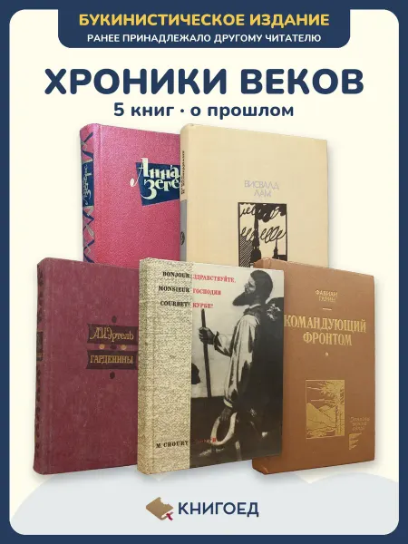 Книгоед Исторические романы Зегерс Лам Эртель Шури Гарин