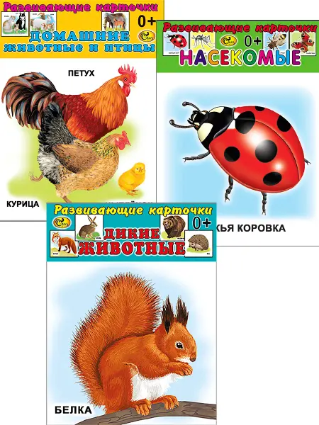 Сказ Комплект развивающих карточек из 3-х наборов № 1 (12Х12 СМ)