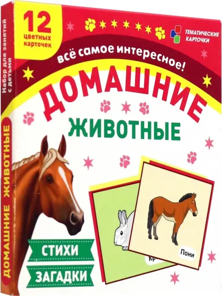 Учитель Карточки Домашние животные Н-227 1