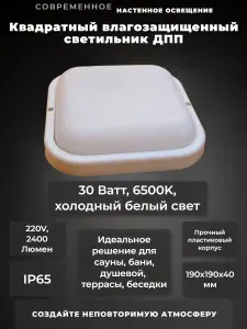 Светильник влагозащищенный IP65 ДПП Квадрат, пластиковый, белый, 6500К, 30Вт