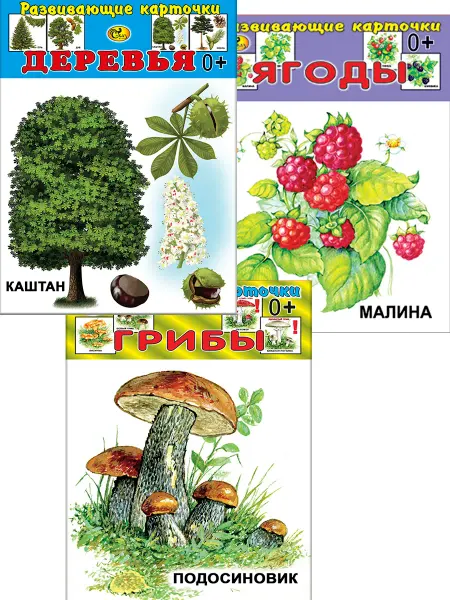 Сказ Комплект развивающих карточек из 3-х наборов № 4 (12Х12 СМ)