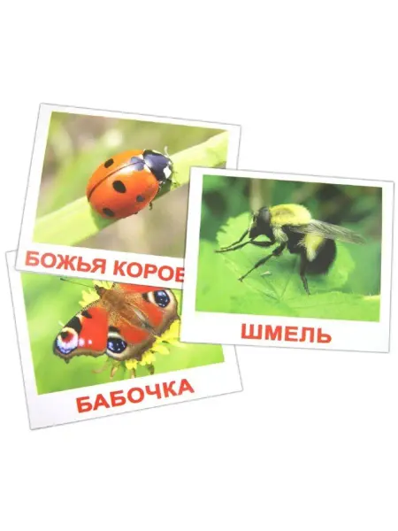 Вундеркинд с пеленок Обучающие карточки "Насекомые", 20 карточек Домана с фактами