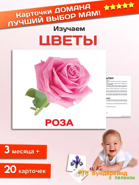 Вундеркинд с пеленок Обучающие карточки "Цветы", 20 карточек Домана с фактами