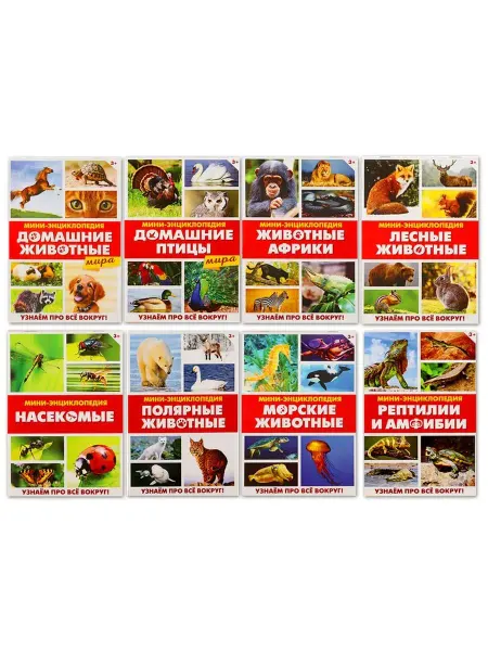 КанцМаркет Мини-энциклопедии "Мир животных", 8 шт. по 20 стр