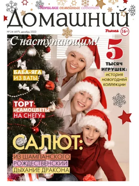Домашний журнал журнал. Здоровье, кулинария, психология, финансы. №19 23