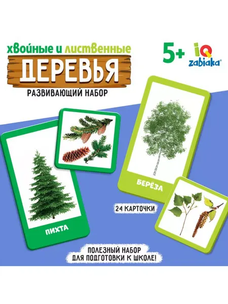 ZABIAKA Обучающие карты "Хвойные и лиственные деревья", 24 карты