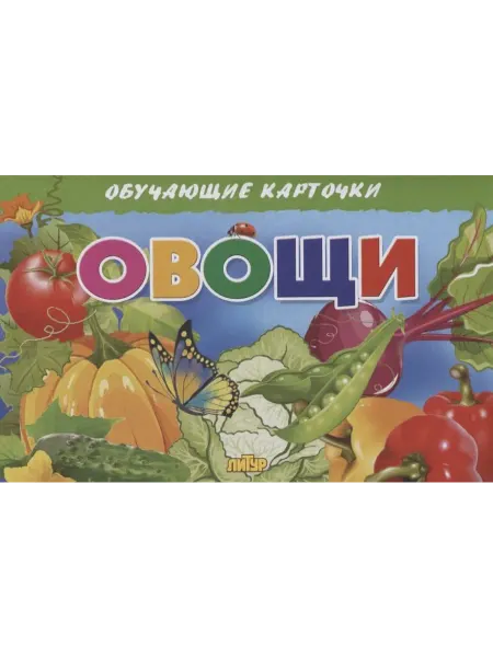 24 Наш Книжный Дом Овощи. Обучающие карточки