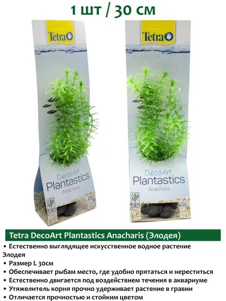 TETRA Anacharis 30см (Элодея) растения для аквариума