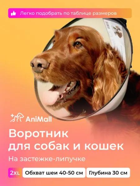 AniMall Воротник защитный для собак и кошек № 30 см, на липучке