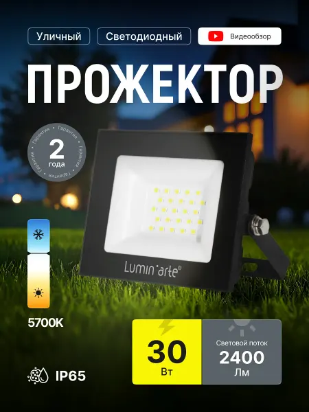 Lumin'arte Прожектор светодиодный уличный 30Вт IP65 светильник 2шт