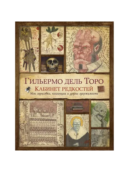 АЗбука-Аттикус Книга Кабинет редкостей. Мои зарисовки