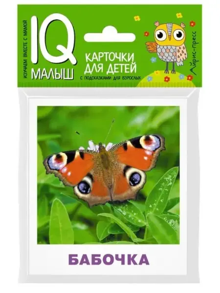 АЙРИС-пресс Умный малыш. Карточки для детей. Насекомые
