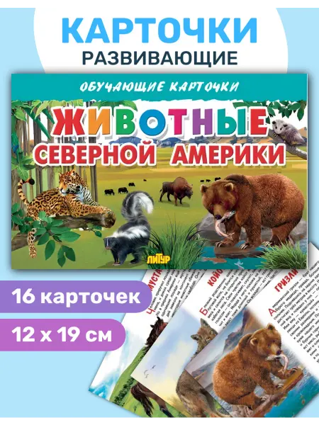 ЛитУр Обучающие карточки "Животные Северной Америки"