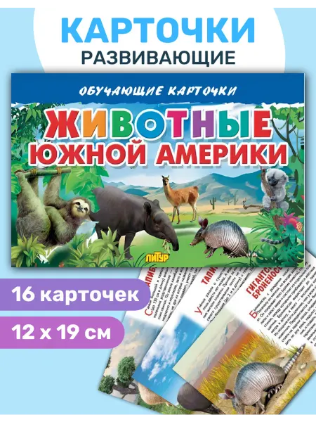 ЛитУр Обучающие карточки "Животные Южной Америки"