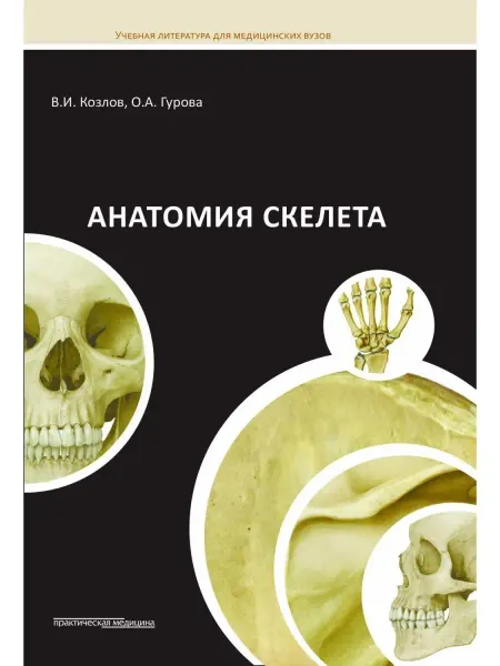 Практическая медицина Анатомия скелета