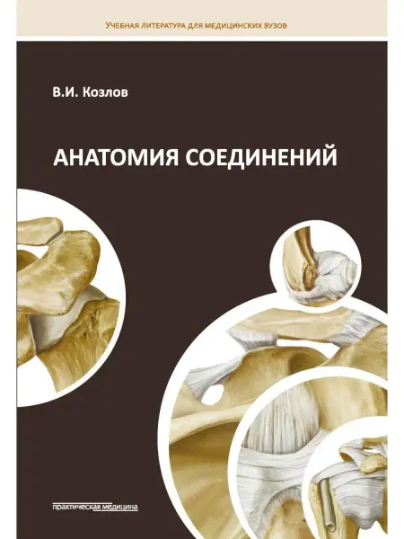 Практическая медицина Анатомия соединений