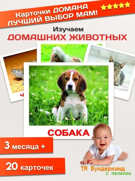 Вундеркинд с пеленок Домашние животные с фактами обучающие Карточки