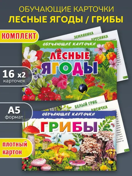 ЛитУр Обучающие карточки Грибы, Лесные ягоды