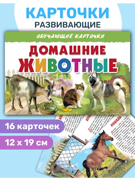 ЛитУр Обучающие карточки "Домашние животные"