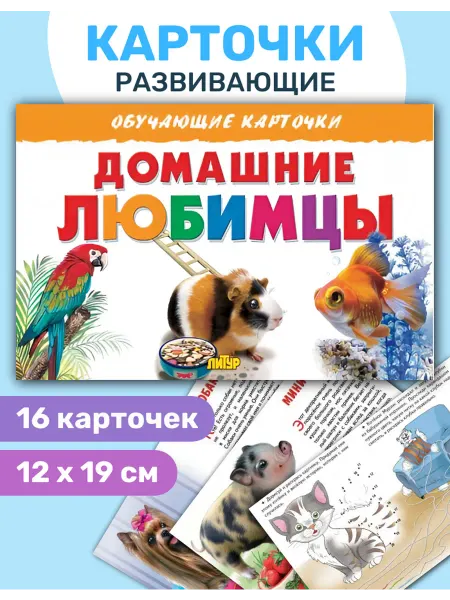 ЛитУр Обучающие карточки "Домашние любимцы"