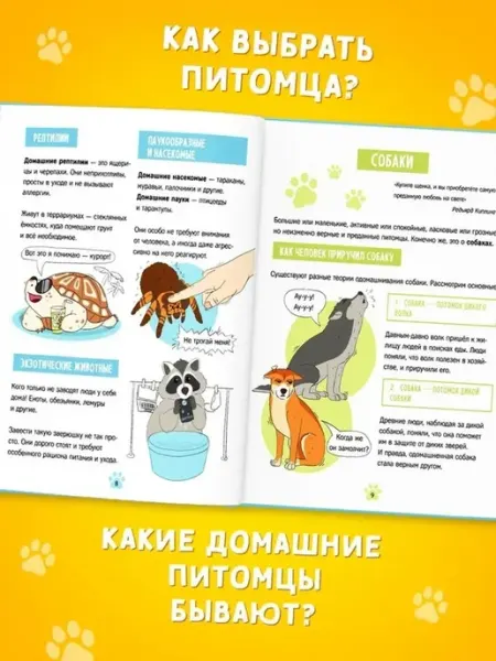 Энциклопедия домашних питомцев твёрдый переплёт