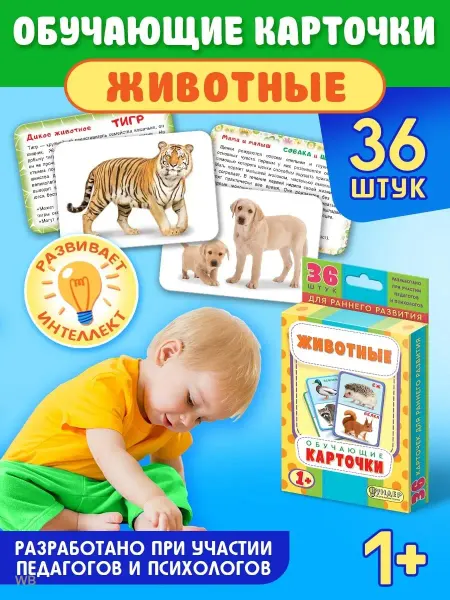Линия успеха Карточки развивающие логопедические Животные ДРК-001