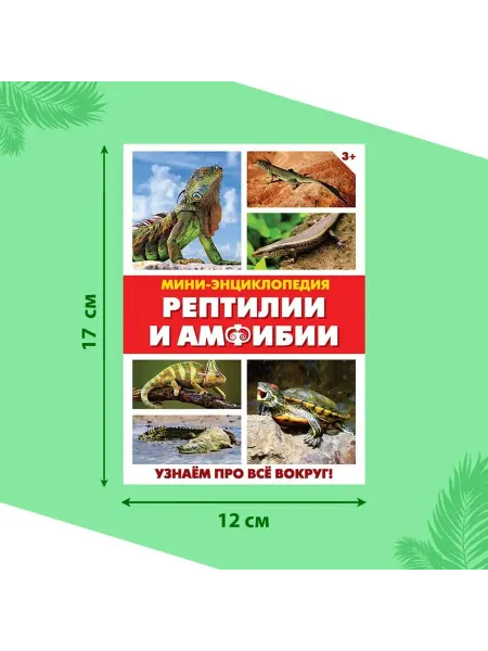 Мир животных мини-энциклопедии для малышей